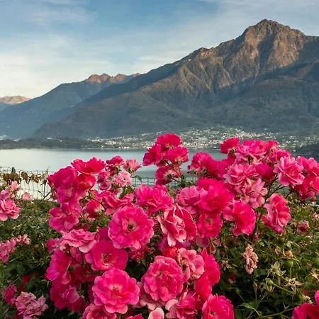 La Collina Dei Fiori 아파트 *